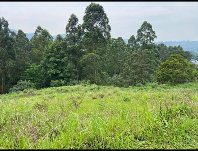 LAND FOR SALE IN MONTROSE